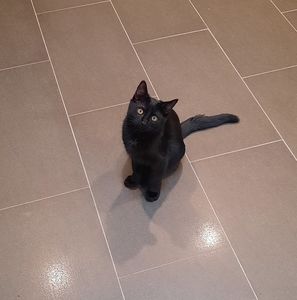 Meet your Posher, Debbie